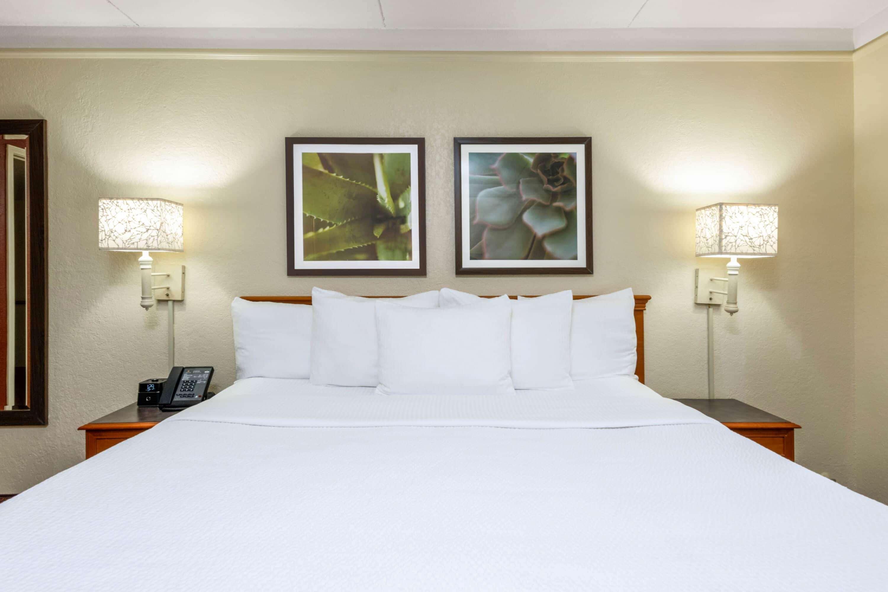 La Quinta East Deerfield Beach - Boca Raton Eksteriør billede